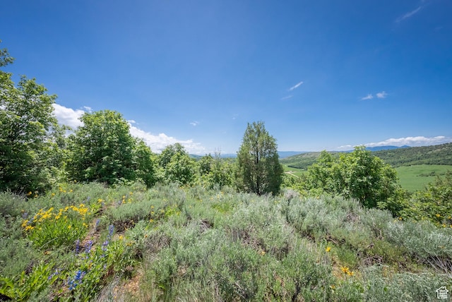 Unit 24, Preston, ID 83263 - photo 41