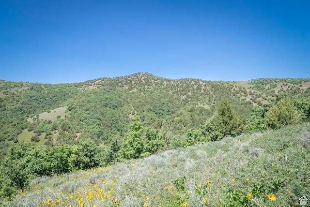 Unit 24, Preston, ID 83263 - photo 29