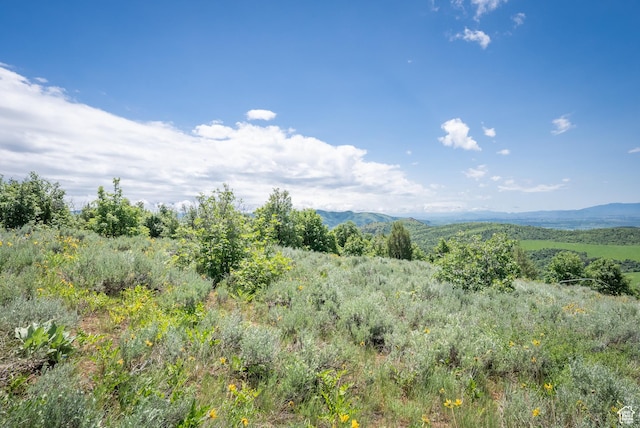 Unit 24, Preston, ID 83263 - photo 19