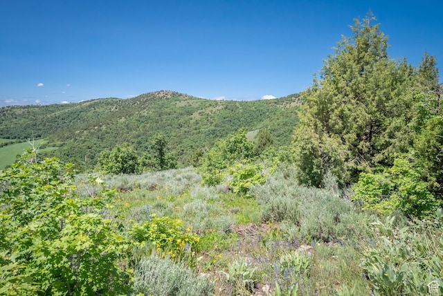 Unit 24, Preston, ID 83263 - photo 16