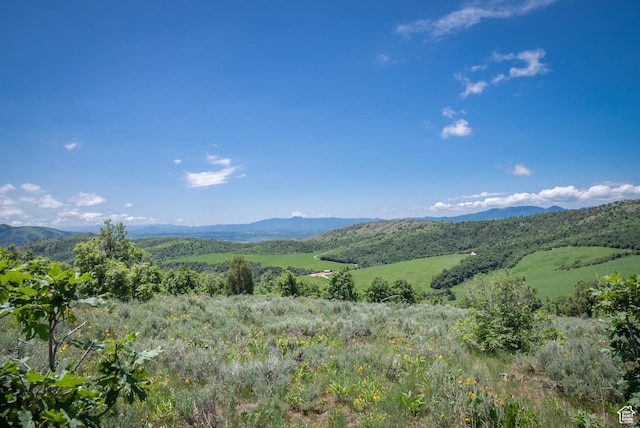 Unit 24, Preston, ID 83263 - photo 48