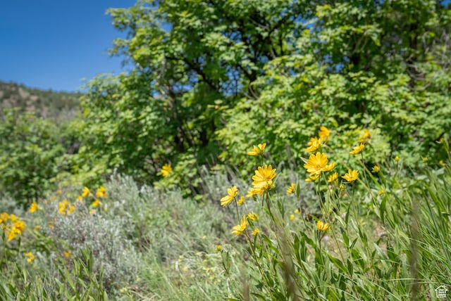 Unit 24, Preston, ID 83263 - photo 34