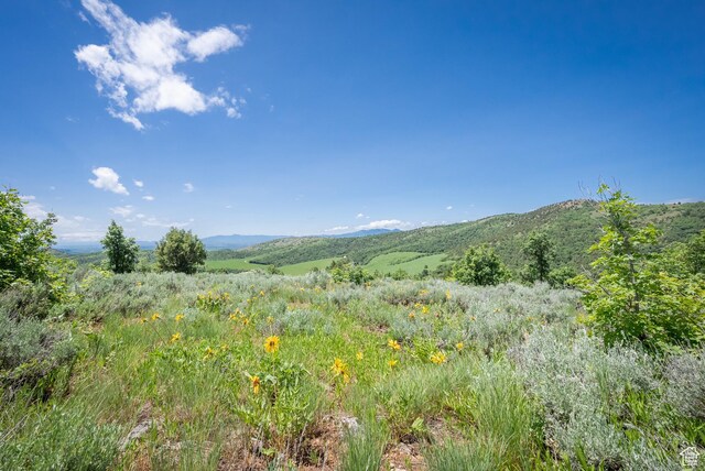Unit 24, Preston, ID 83263 - photo 17