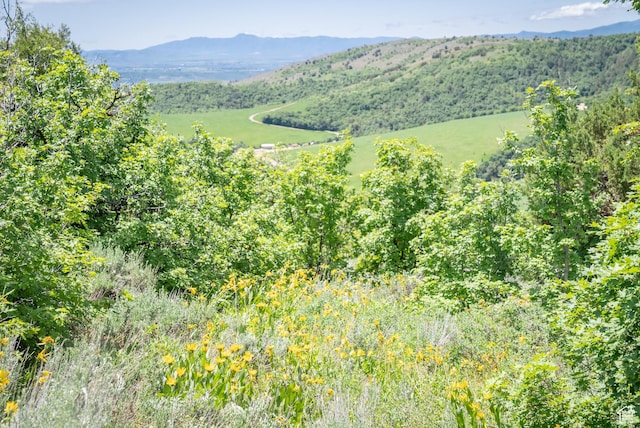 Unit 24, Preston, ID 83263 - photo 27