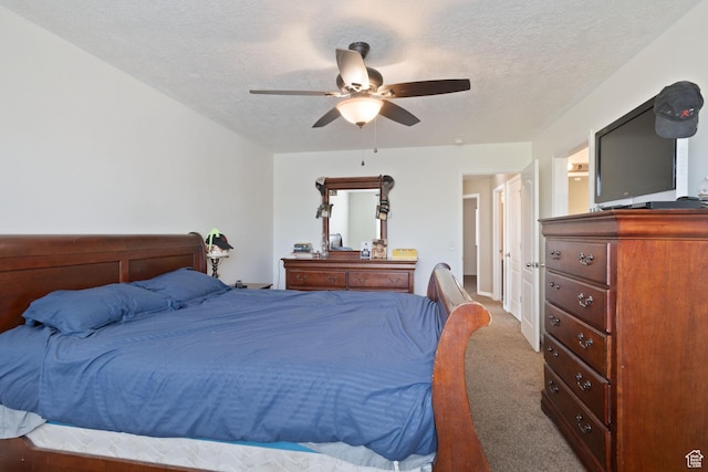 7171 W 8170 S, West Jordan, UT 84081 - photo 13