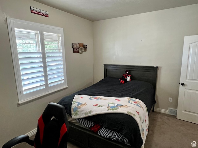 13959 S 2200 W, Bluffdale, UT 84065 - photo 17