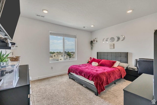 8616 W Beckville Dr, Magna, UT 84044 - photo 10