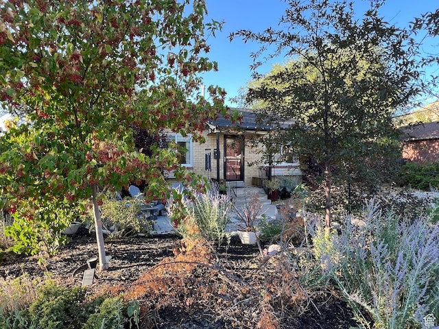 1295 E 900 N, Logan, UT 84321 - photo 18