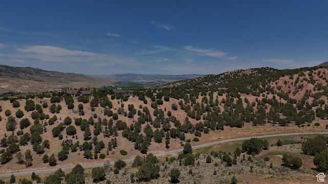 1167 Trail Ridge Dr Unit 8, Wanship, UT 84017 - photo 8