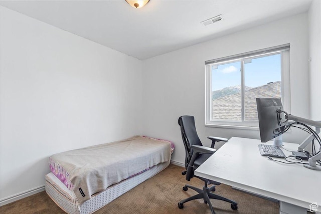 1721 E Lone Oak Dr, Draper, UT 84020 - photo 23
