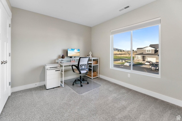 826 N Glen Eagles Ct, Tooele, UT 84074 - photo 22