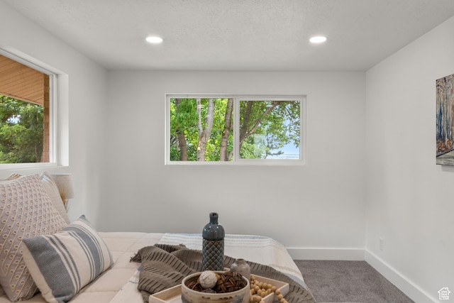 219 E 3050 N, North Ogden, UT 84414 - photo 24