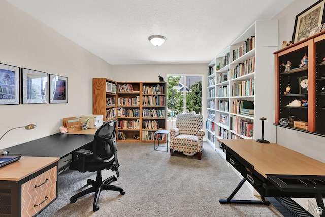 11278 S Ropemaker Rd W, South Jordan, UT 84095 - photo 25