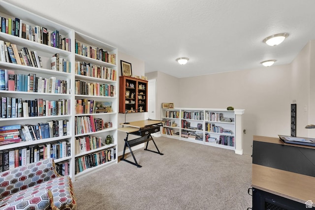 11278 S Ropemaker Rd W, South Jordan, UT 84095 - photo 27