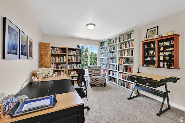 11278 S Ropemaker Rd W, South Jordan, UT 84095 - photo 26