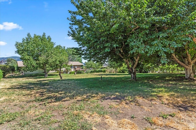 3565 N 950 W, Pleasant View, UT 84414 - photo 29