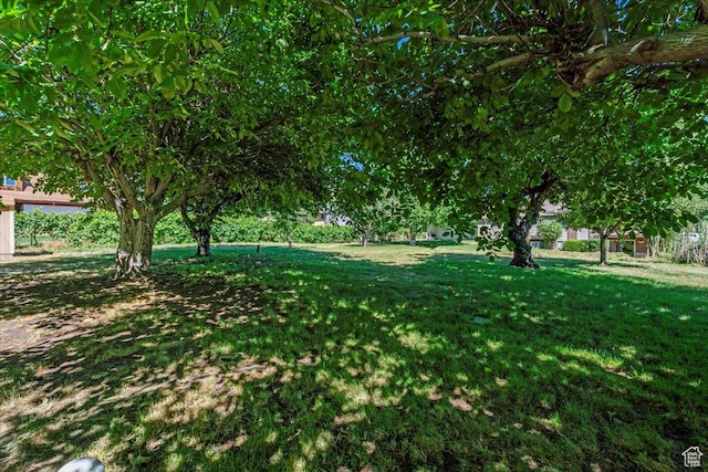 3565 N 950 W, Pleasant View, UT 84414 - photo 30