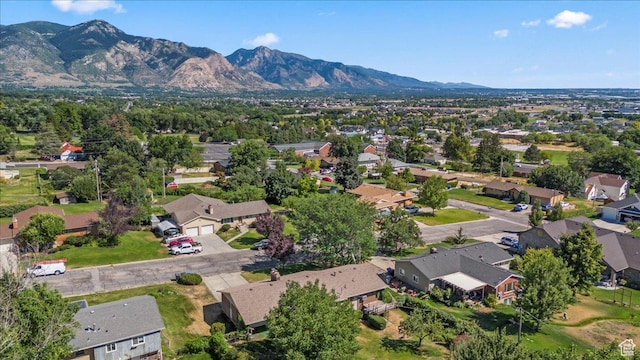 3565 N 950 W, Pleasant View, UT 84414 - photo 35