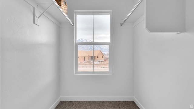 1547 E 720 N Unit 1069, Salem, UT 84653 - photo 22