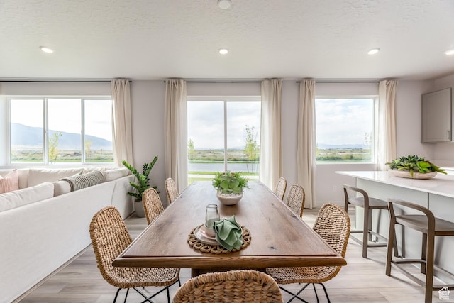 1079 W Fallow Dr Unit 247, Saratoga Springs, UT 84045 - photo 9