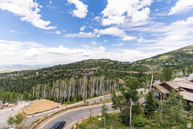 7697 Village Way Unit 404, Park City, UT 84060 - photo 40