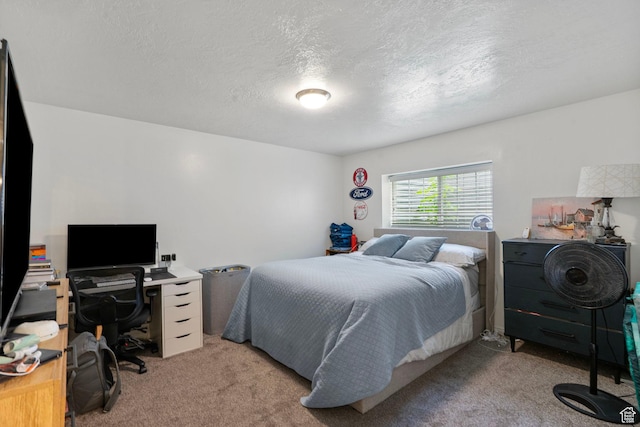 285 E 200 N, Alpine, UT 84004 - photo 20