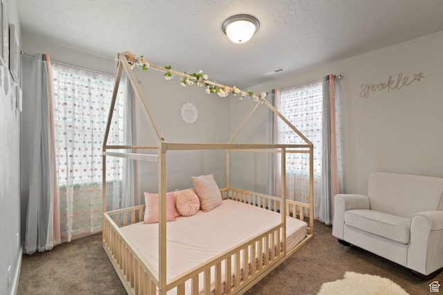 6443 W Early Bird Dr, South Jordan, UT 84009 - photo 36