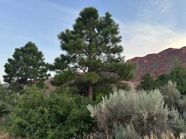 9 Chamisa Ln, Castle Valley, UT 84532 - photo 29