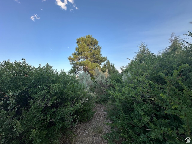 9 Chamisa Ln, Castle Valley, UT 84532 - photo 32
