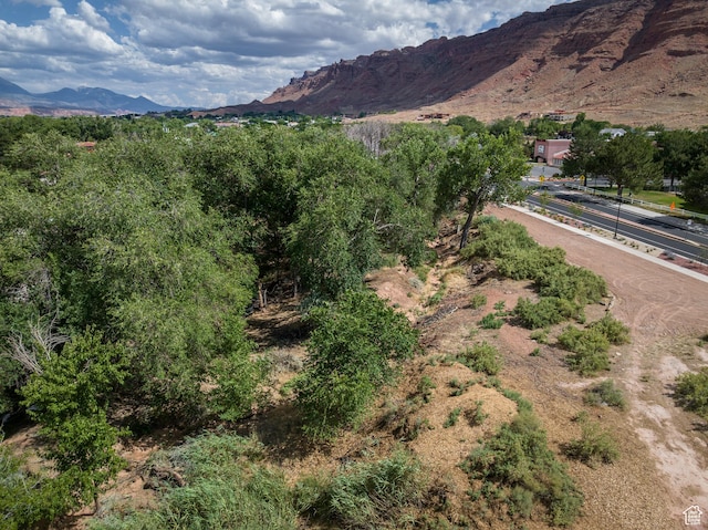 545 Kane Blvd, Moab, UT 84532 - photo 10