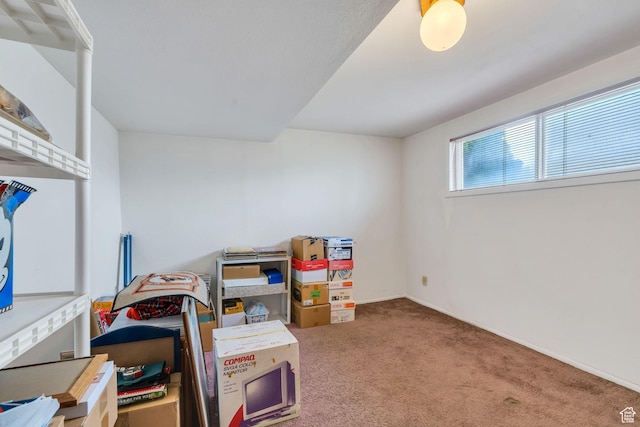 527 S 1000 W, Payson, UT 84651 - photo 14