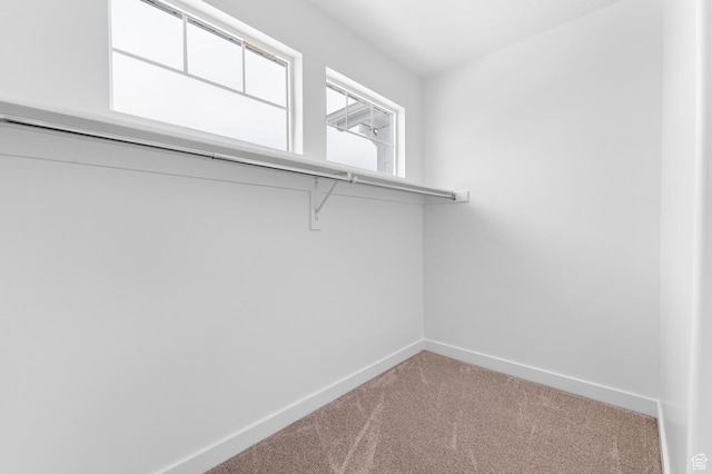 239 S Cherry St Unit 208, Grantsville, UT 84029 - photo 23
