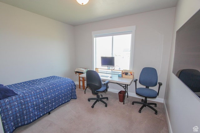 130 W 1550 S, Wellsville, UT 84339 - photo 18