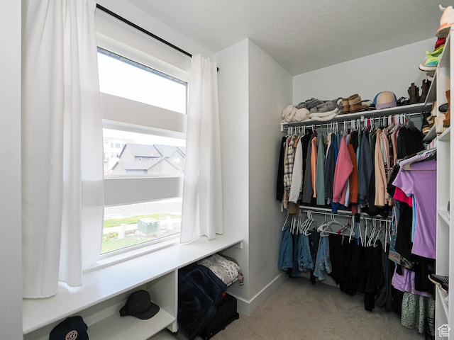 3248 S Forest Ave, Saratoga Springs, UT 84045 - photo 25