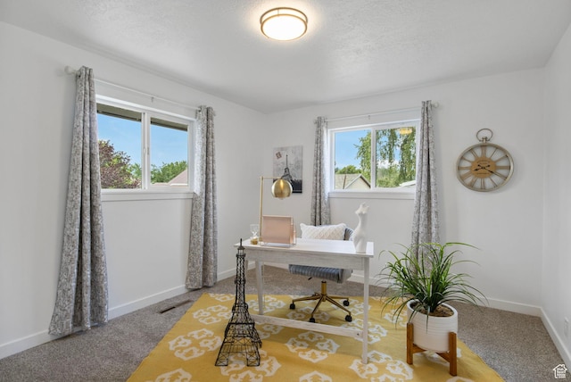 240 E 600 N, Lehi, UT 84043 - photo 15