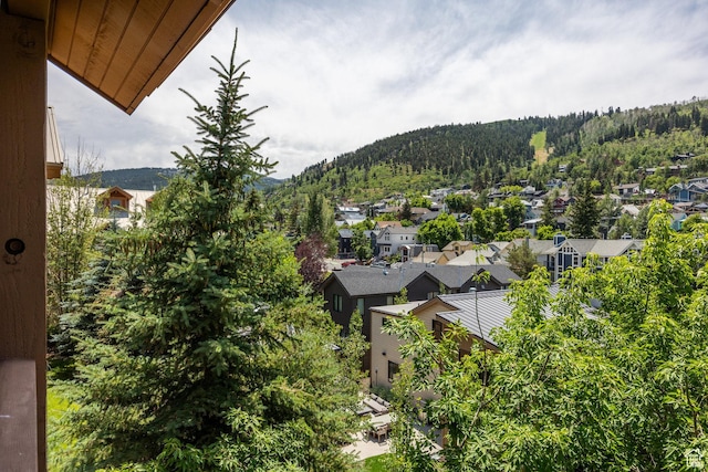 1000 Park Ave Unit C304, Park City, UT 84060 - photo 4