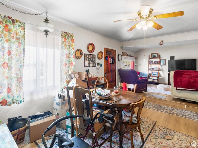 304 E 200 S, Tooele, UT 84074 - photo 5