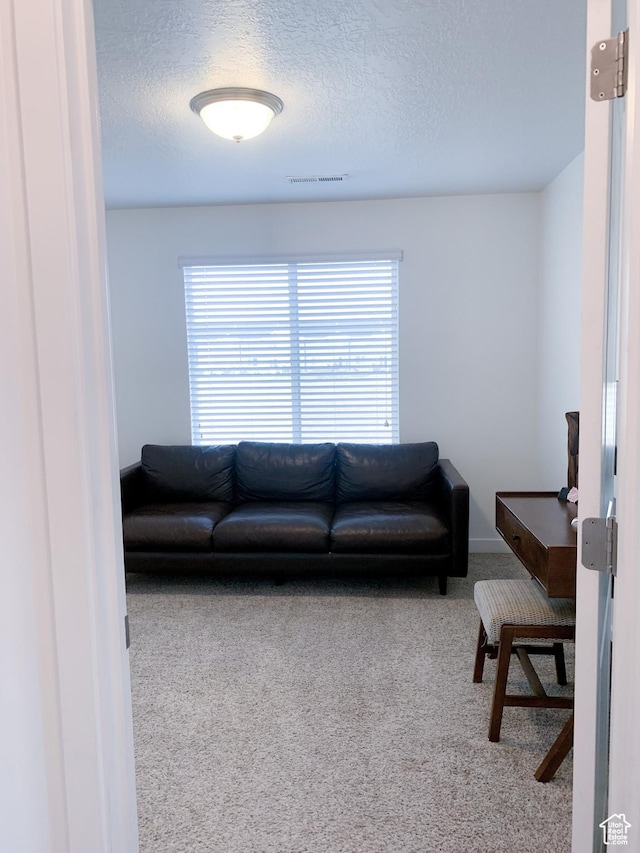423 S Sunland Way, Saratoga Springs, UT 84045 - photo 13