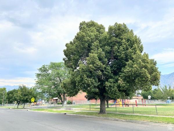 434 S 700 W Unit 1, Provo, UT 84601 - photo 10