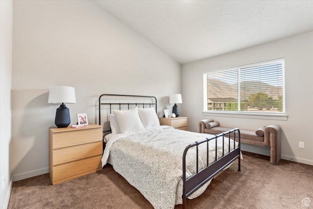 675 S 100 W Unit A305, Springville, UT 84663 - photo 10