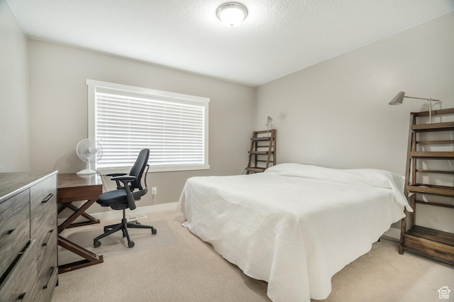 264 S 100 W, Cedar City, UT 84720 - photo 12