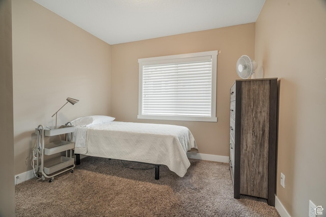 264 S 100 W, Cedar City, UT 84720 - photo 19