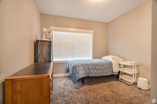 264 S 100 W, Cedar City, UT 84720 - photo 17