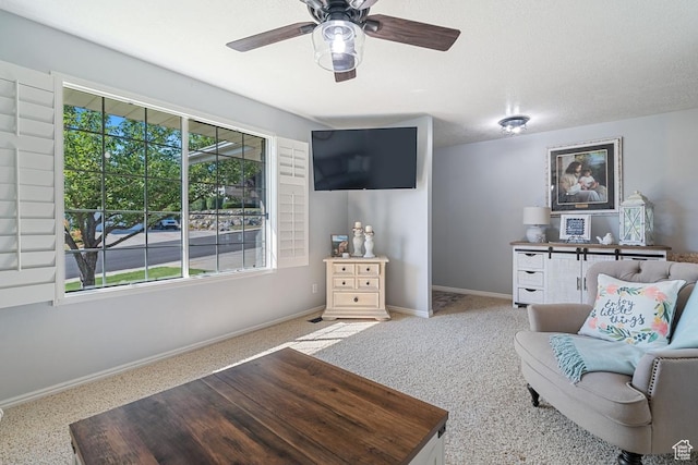 428 N 1180 E, Pleasant Grove, UT 84062 - photo 6