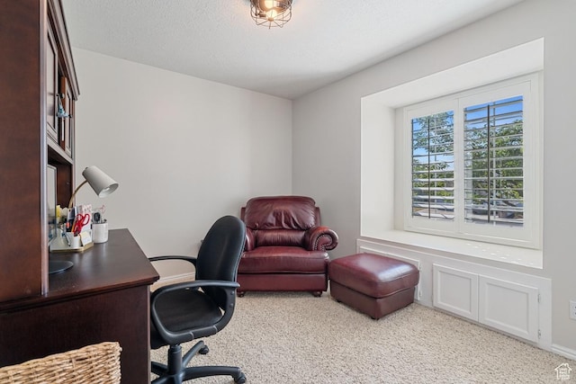 428 N 1180 E, Pleasant Grove, UT 84062 - photo 30