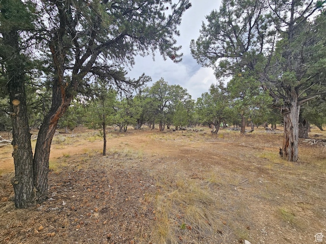 7124 S 38700 W Unit 10, Fruitland, UT 84027 - photo 29