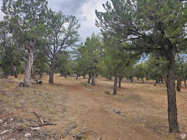 7124 S 38700 W Unit 10, Fruitland, UT 84027 - photo 30