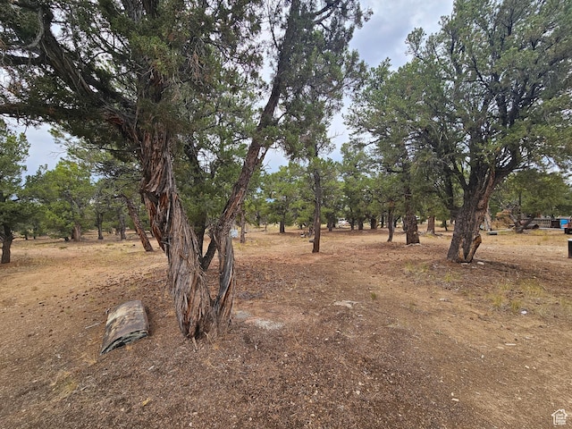 7124 S 38700 W Unit 10, Fruitland, UT 84027 - photo 27