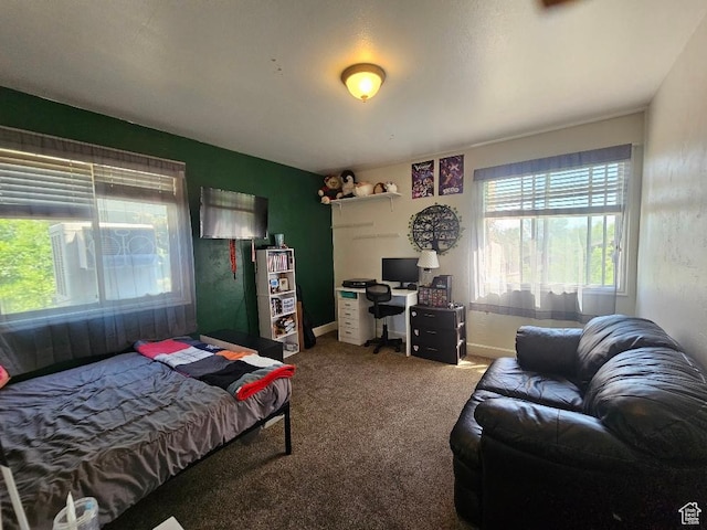 876 W 1200 S, Vernal, UT 84078 - photo 17