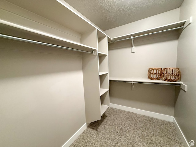 2457 W 500 S Unit 1, Springville, UT 84663 - photo 18